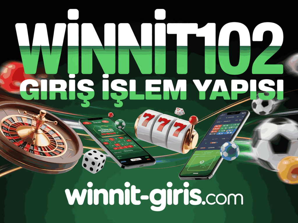 winnit102 giris islem yapisi